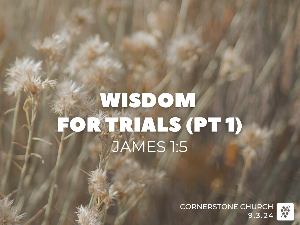 James 1.5 (3)