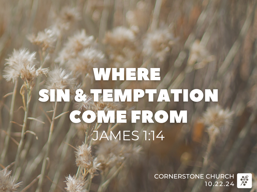 James 1.14