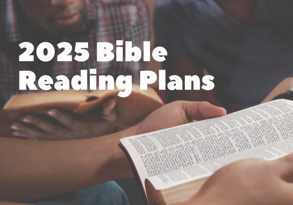 2025 Reading Plan (1)